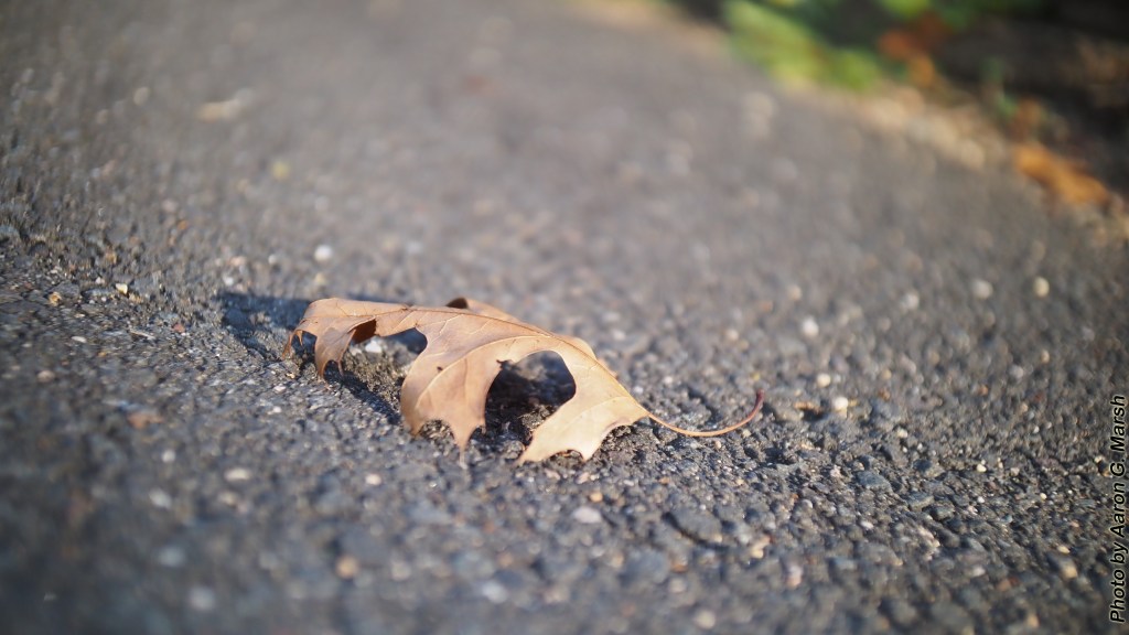 Photo by Aaron G. Marsh