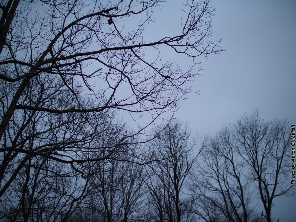 Excursion 23: No Shnow&nbsp;Yet!