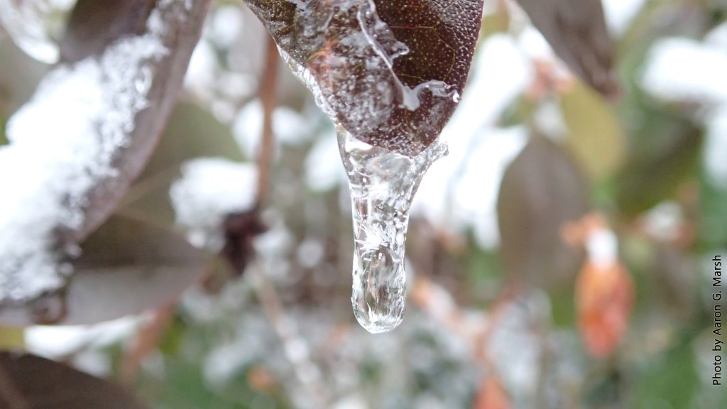 Excursion 24: First Snow of the&nbsp;Season