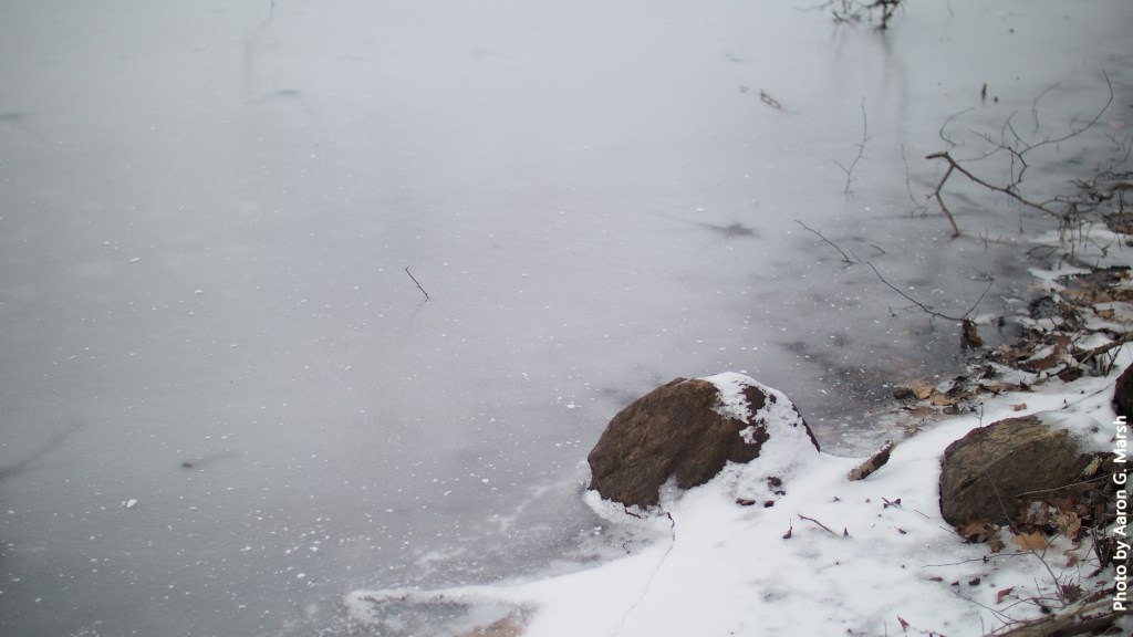 Excursion 35: Sojourn to the Frozen&nbsp;Park