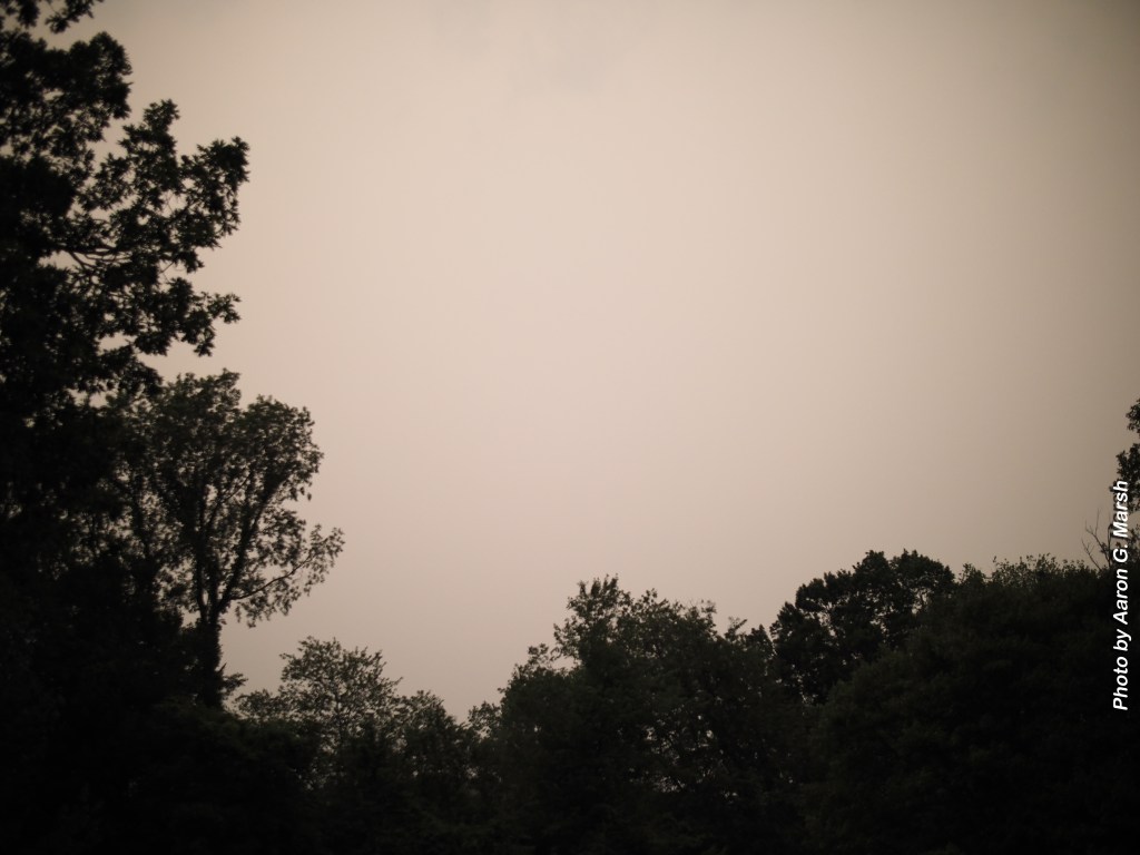 The skies have been a strangely lit, soot-filled yellowish tint, caused by numerous wildfires burning to the north. (Photo by Aaron G. Marsh)